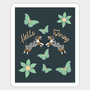 Hello Spring with Blue Merle Australian Shepherd Dog, Flowers and Butterflies Sticker